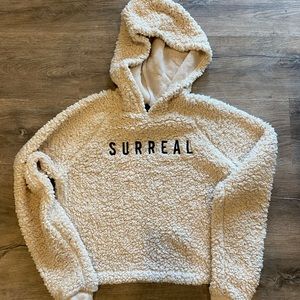 Urban Outfitters Sherpa Cropped Hoodie - “Surreal”